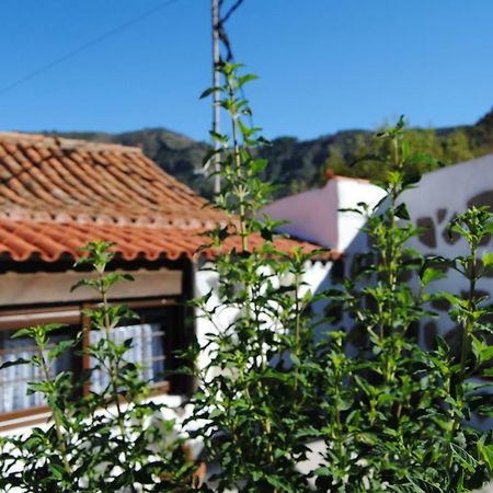 Ilusiones Villa Tejeda  Exteriör bild