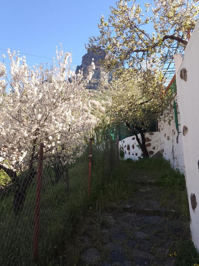Ilusiones Villa Tejeda  Exteriör bild