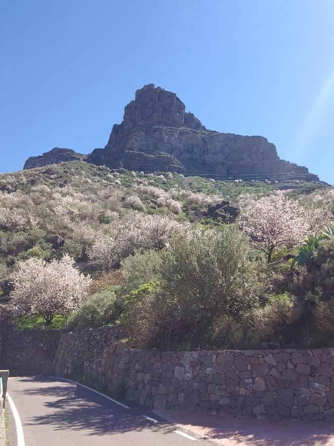 Ilusiones Villa Tejeda  Exteriör bild