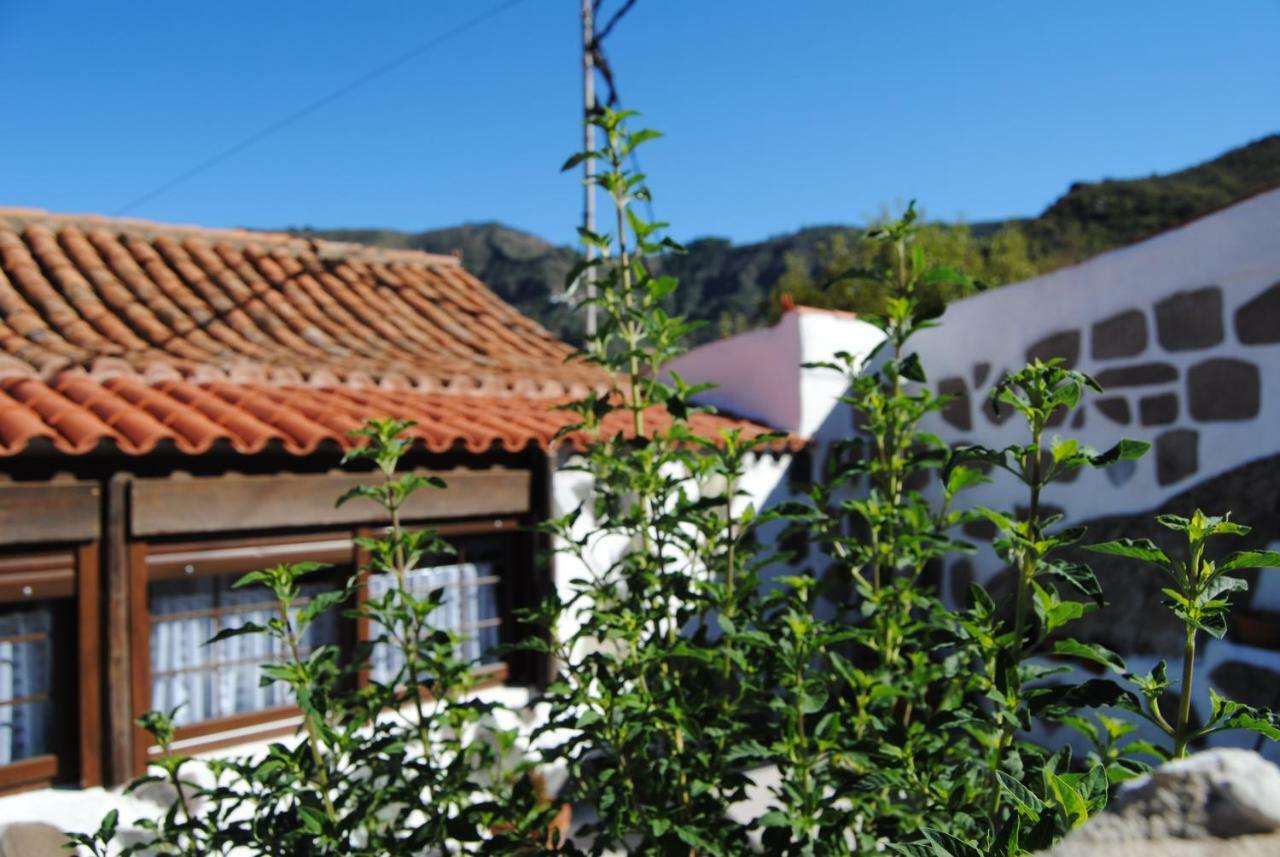 Ilusiones Villa Tejeda  Exteriör bild